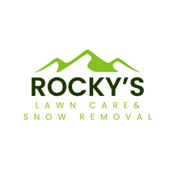 lawn care and snow removal logo