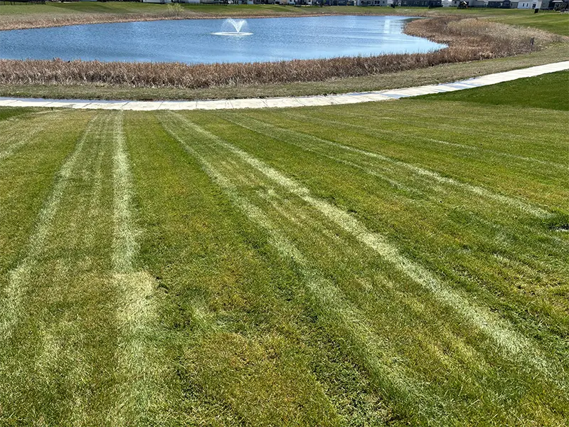Your Trusted Lawn Care Experts in the Fargo-Moorhead Area
